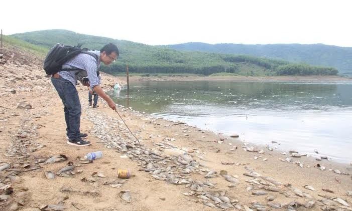 Vụ cá chết ở hồ thủy lợi Quảng Nam: Chủ tịch tỉnh chỉ đạo làm rõ nguyên nhân