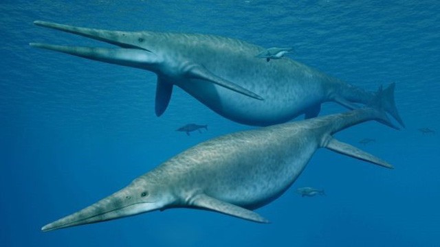 Ngư long cổ đại là một trong những sinh vật lớn nhất từng tồn tại