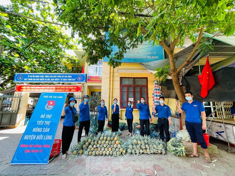 Tuổi trẻ Lạng Sơn quyết tâm "vượt nắng, thắng mưa" giải cứu nông sản cho bà con vùng dịch. - Ảnh: Duy Chiến 