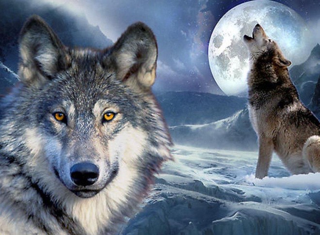 199 Mẫu hình xăm chó sói ý nghĩa và đẹp nhất hiện nay