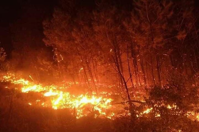 600 người nỗ lực dập lửa cứu rừng cháy lớn ở Nghệ An