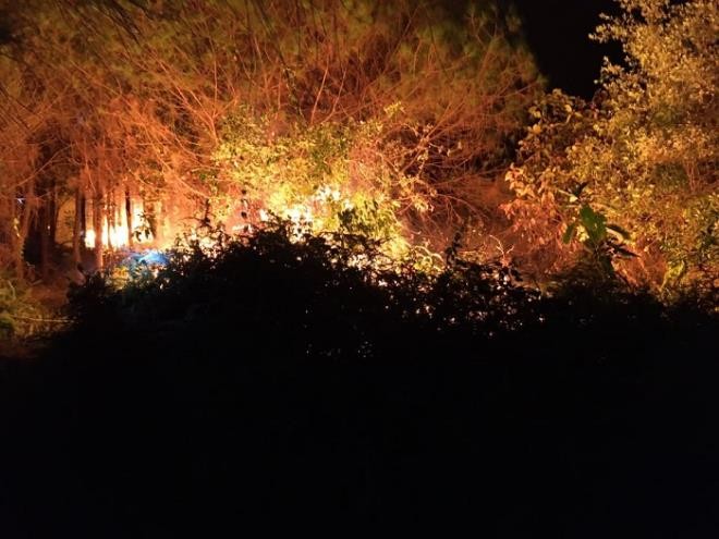 200 người vật lộn nhiều giờ cứu rừng thông, cao su bị giặc lửa tấn công