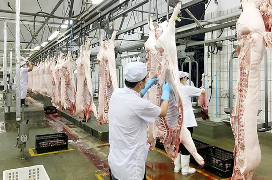 Giá lợn hơi giảm kỷ lục, Phó Thủ tướng yêu cầu làm rõ chi phí từng khâu