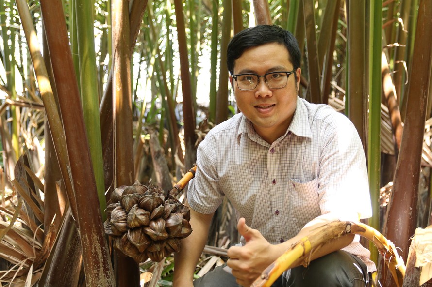 Chàng kỹ sư trẻ 'hoá phép' bắt cây dừa nước tiết ra mật