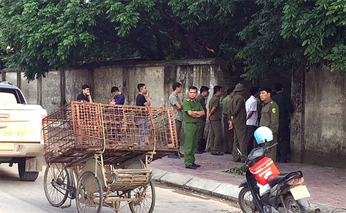 Lực lượng chức năng mang theo lồng sắt, tập trung trước cổng gia đình có đàn chó để bắt giữ