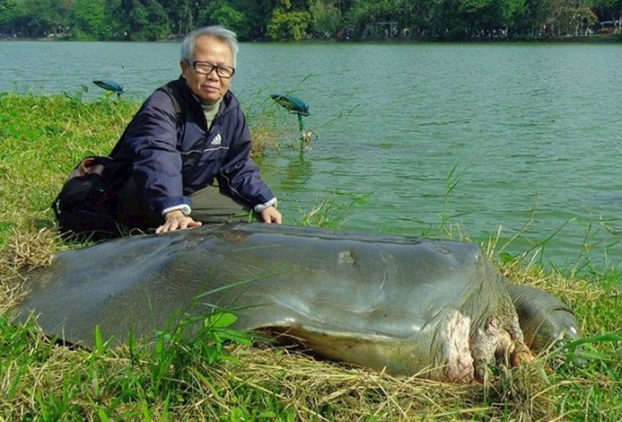 Tiêu bản cụ rùa Hồ Gươm ra mắt người dân Thủ đô