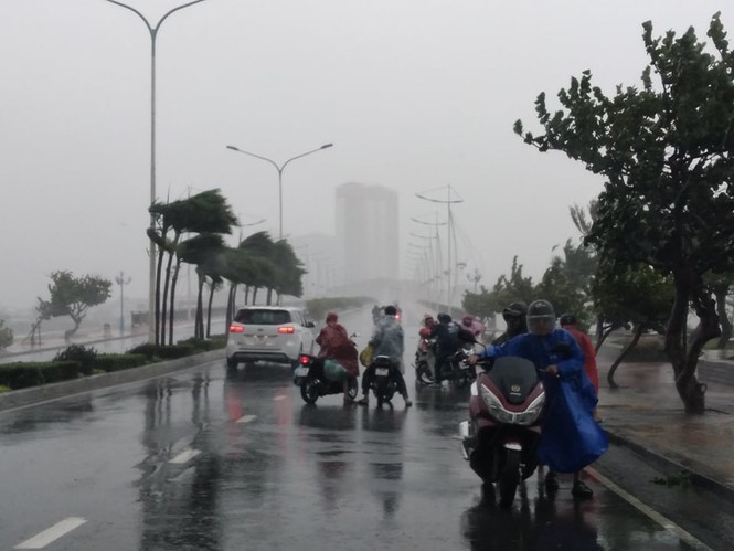 Bão số 12 gây gió giật mạnh tại Khánh Hòa vào sáng qua. Ảnh: Công Hoan.