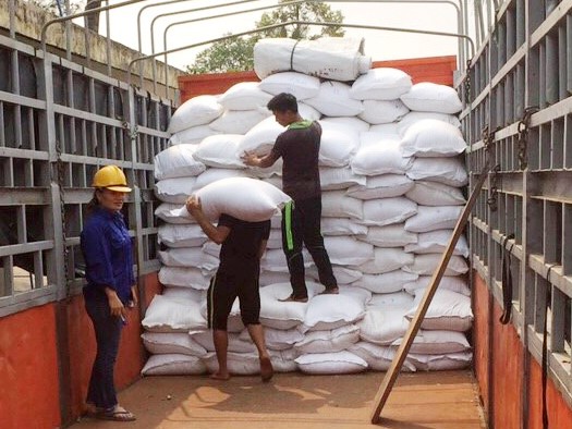 Công nhân bốc xếp gạo từ kho dự trữ quốc gia