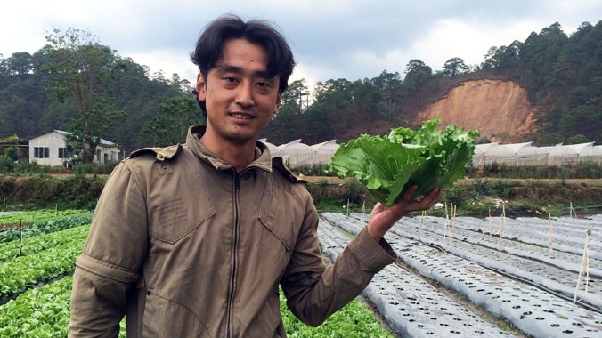 Mô hình nông nghiệp thông minh hàng đầu Việt Nam hiện nay  Nextfarm