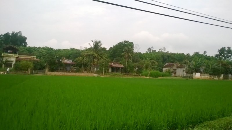 Một góc xã Phú Nhuận, huyện Như Thanh (Thanh Hoá), nơi xảy ra vụ đuối nước thương tâm. Ảnh: Hoàng Lam