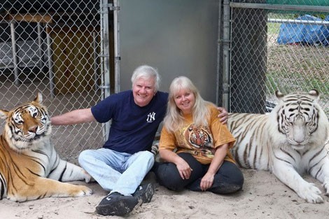 Janice và chồng của cô David sống cùng hai con hổ. Ảnh: mirror.co.uk