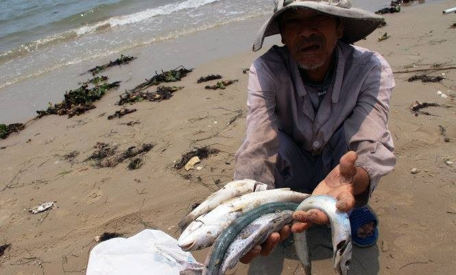 Cá chết hàng loạt những ngày qua ở vùng biển Hà Tĩnh.