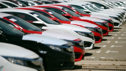 Các doanh nghiệp đang sốt sắng trong hoạt động nhập khẩu để nhanh chóng có xe cung cấp ra thị trường.
