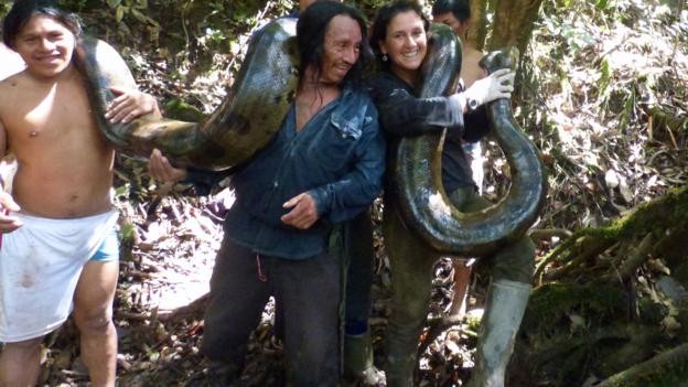 Nhà khoa học nữ Renata Leite Pitman và các thổ dân Waorani bắt được con rắn xanh dài 5,3m. Ảnh: BBC