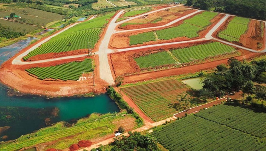 Đồi chè ở Đam B'ri bị phân lô