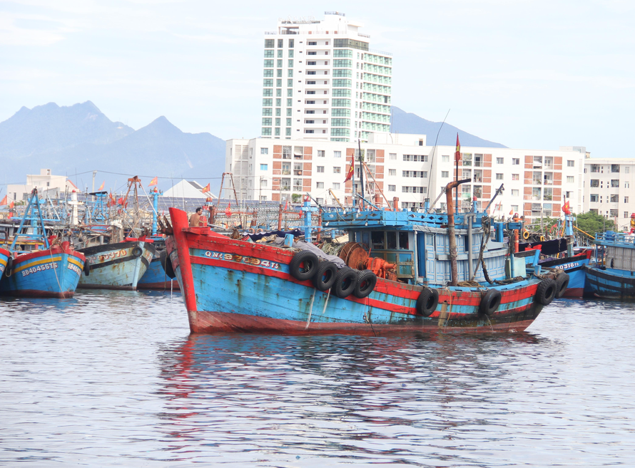 Quảng Nam cấm tàu, thuyền ra khơi, sẵn sàng phương án di dời dân