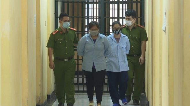 Cơ quan điều tra đã thực hiện lệnh bắt và tạm giam đối với Nguyễn Anh Thư và Phạm Ngọc Thảo để điều tra về hành vi mang thai hộ vì mục đích thương mại