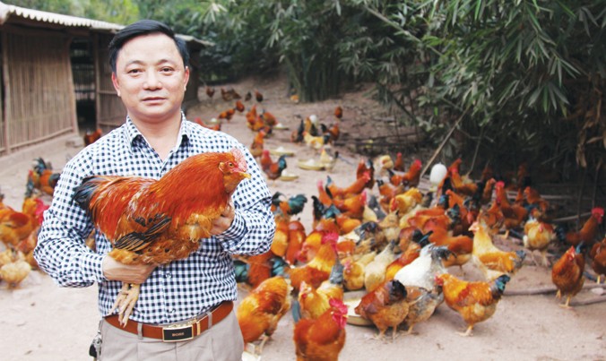 Anh Lý Văn Diểng được mệnh danh là “tộc trưởng” của loài gà râu.