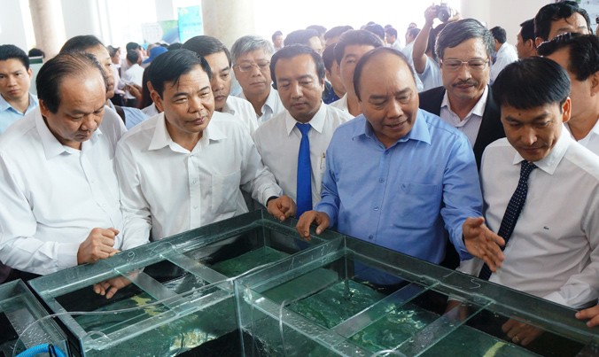 Thủ tướng Nguyễn Xuân Phúc tham quan tôm giống của Cty TNHH đầu tư thủy sản Nam Miền Trung trưng bày.
