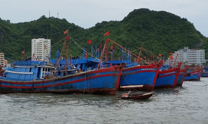 Các chuyên gia cho rằng, việc phát triển đội tàu viễn dương cần tính toán, có lộ trình và phù hợp nguyện vọng, khả năng của ngư dân, doanh nghiệp. Ảnh: Bình Phương.