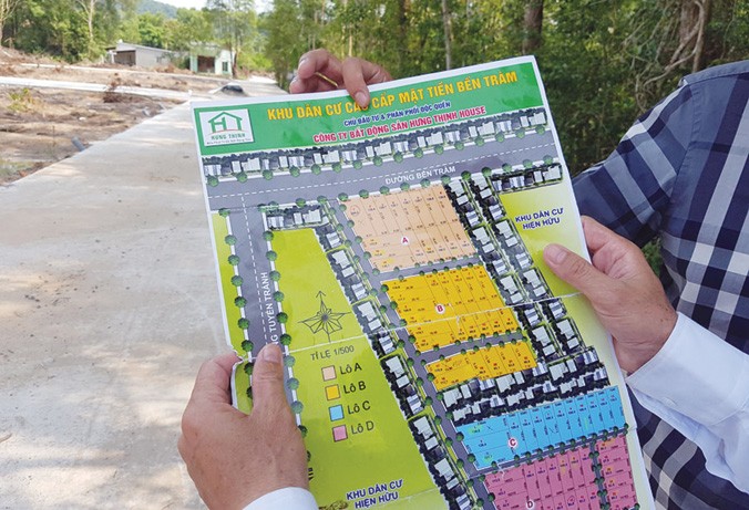 Cò đất hoạt động ngày đêm tại Phú Quốc.