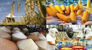 Xuất khẩu nông sản giảm mạnh: Không thể ngồi một chỗ đợi tăng giá