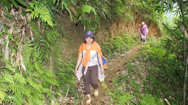 Điểm trường gần nhất mất hai giờ đi bộ, điểm xa nhất mất nửa ngày, nhiều năm qua, cô Thoa vẫn cần mẫn băng rừng gieo chữ. Ảnh: Thanh Trần