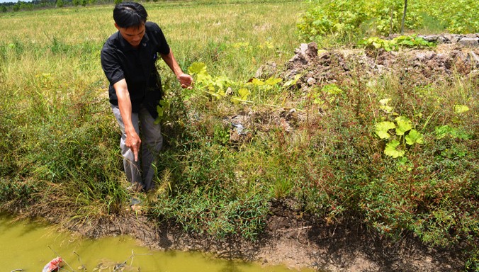 Người dân Thới Bình, U Minh đang chỉ nước đã cạn xuống trên cánh đồng. Ảnh: Tiến Hưng