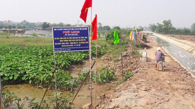 Khu đất mà Cty Phú Long được chấp thuận đầu tư dự án.