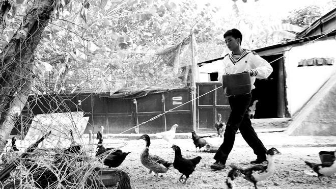 Những vườn rau xanh, đàn gà đàn vịt tạo nên khung cảnh gần gũi của làng quê nơi đất liền (Trong ảnh, chiến sỹ Nguyễn Tấn Đạt, SN 1995 ở đảo Nam Yết chăm sóc đàn gia cầm của đội). Ảnh: Xuân Tùng
