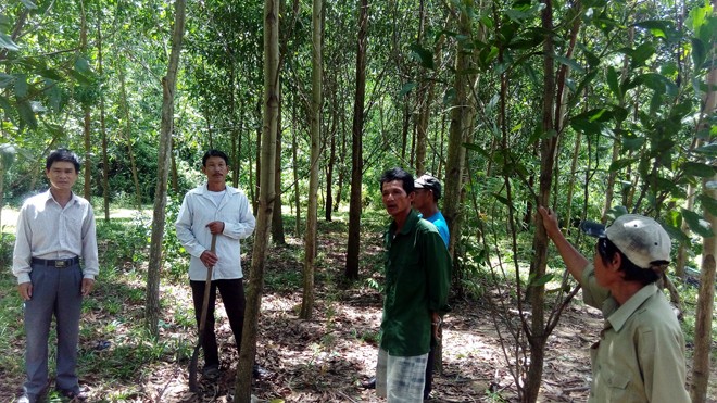 Người dân xã Cam Tuyền lo lắng, bức xúc trước thông tin thu hồi đất rừng. Ảnh: H.T