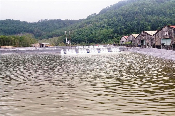 Ủy ban Kiểm tra Tỉnh ủy TT-Huế và Huyện ủy Phú Lộc quyết liệt xử lý cán bộ để xảy ra sai phạm phá rừng nuôi tôm trái phép.