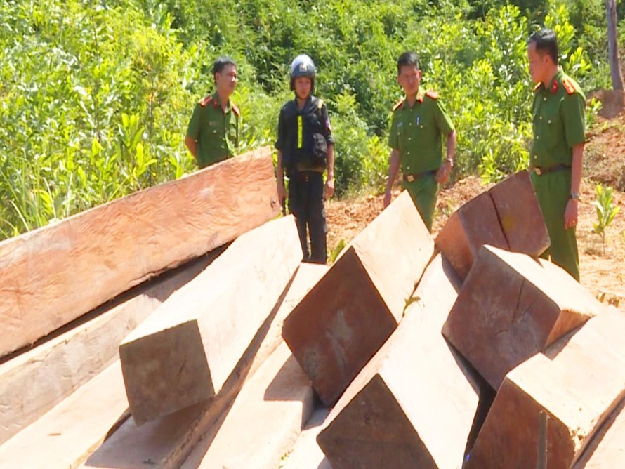 Công an tỉnh thu giữ tới hơn 330 m3 gỗ lậu ở huyện Ea Kar