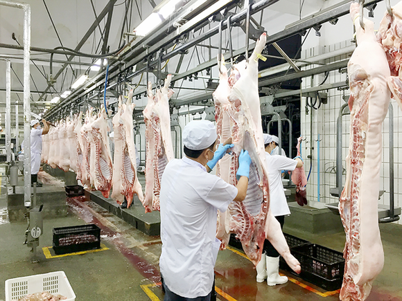 'Lộ diện' những doanh nghiệp chăn nuôi lãi đậm nhờ giá thịt lợn tăng cao