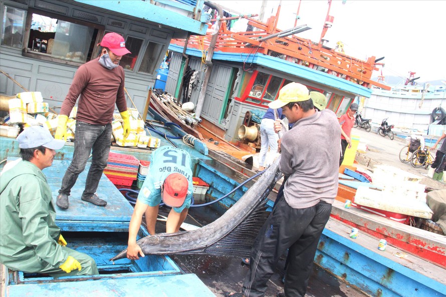 Xong chuyến biển này, mọi người sẽ về quê đón Tết cùng gia đình. Ảnh: T.T