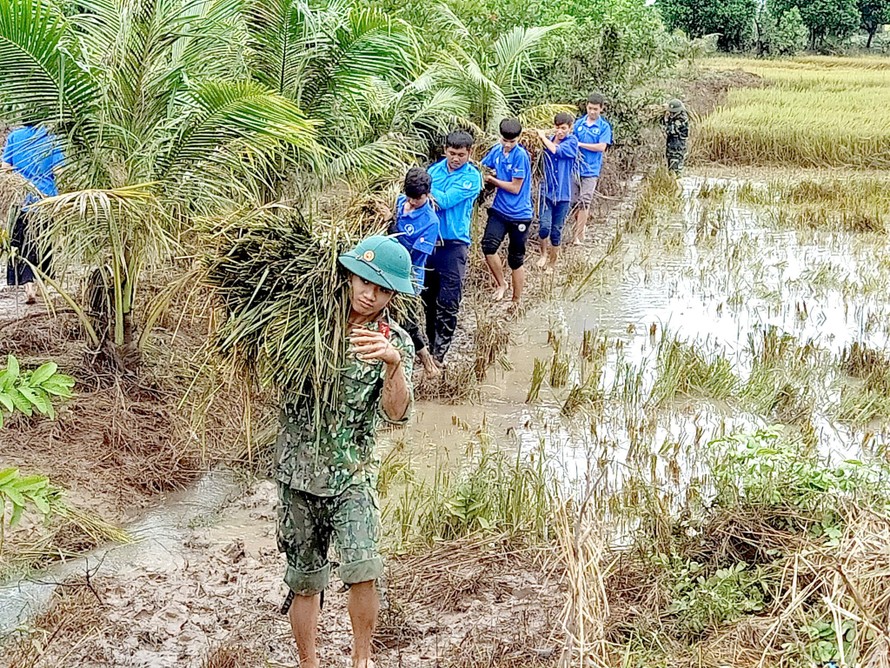 Lực lượng tình nguyện huyện Ea Súp giúp dân thu hoạch lúa.