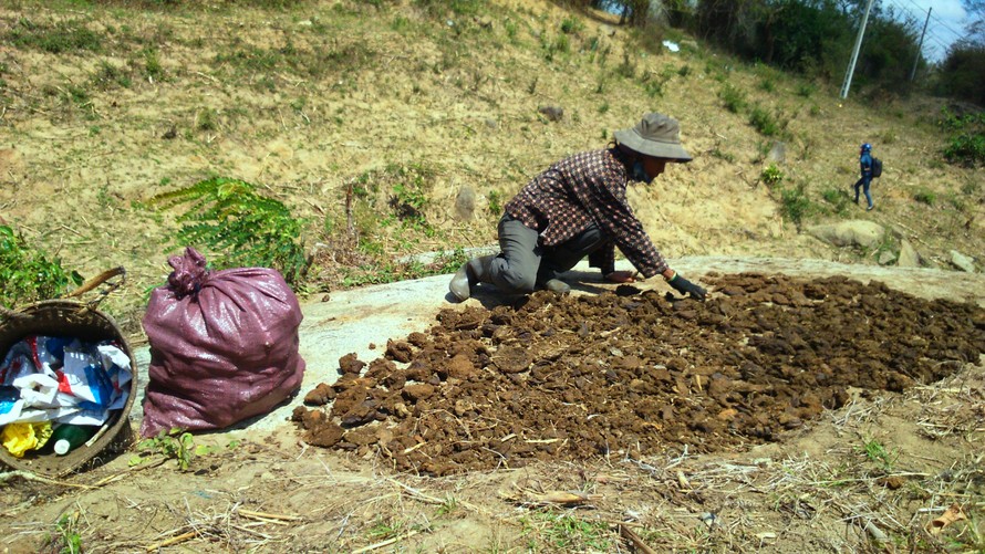 Người dân xã Yang Reh phơi phân bò để bán