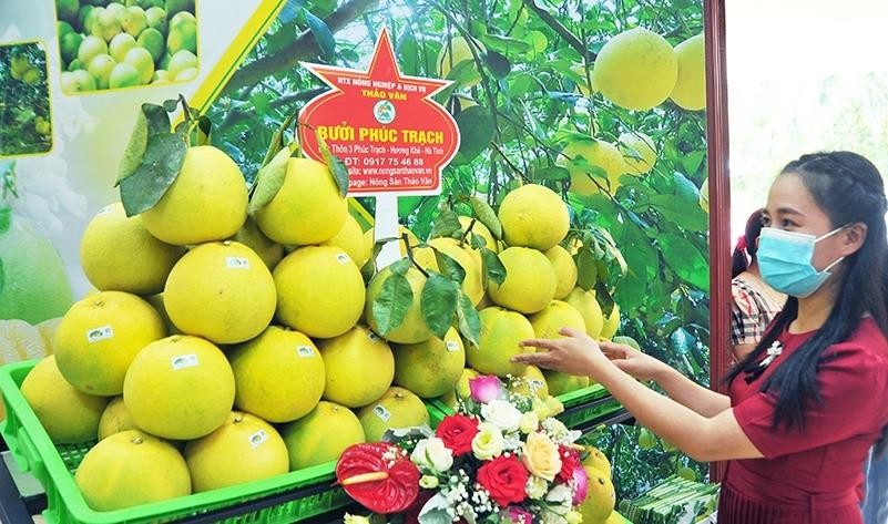 Bưởi Phúc Trạch là một trong những nông sản của Hà Tĩnh được chuyển đổi số, lên sàn thương mại điện tử 