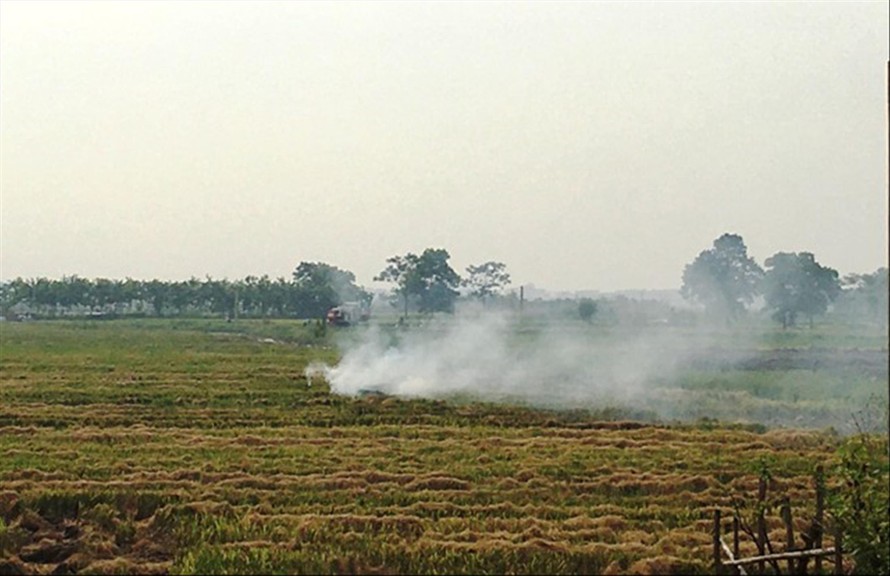 Đốt rơm rạ tại huyện Sóc Sơn, Hà Nội