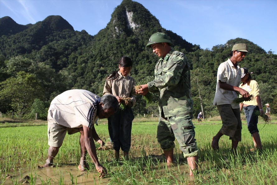 Bộ đội Biên phòng dạy người Rục trồng lúa nước 