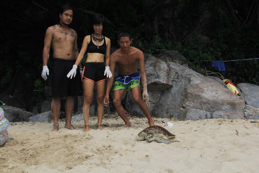 Nhóm bạn trẻ tại Đà Nẵng thả một chú rùa suýt bị làm mồi nhậu về biển vào tháng 10/2018 Ảnh: Thanh Trần 