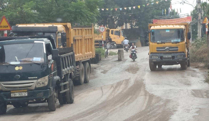 Xe tải hạng nặng tập kết ở chân đê, thôn Giáp Long, xã Thống Nhất 