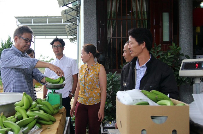 Chuyên gia Nhật hướng dẫn nông dân ở xã Ðạ K’Nàng (Ðam Rông, Lâm Ðồng) sơ chế chuối​. Ảnh: Kim Anh
