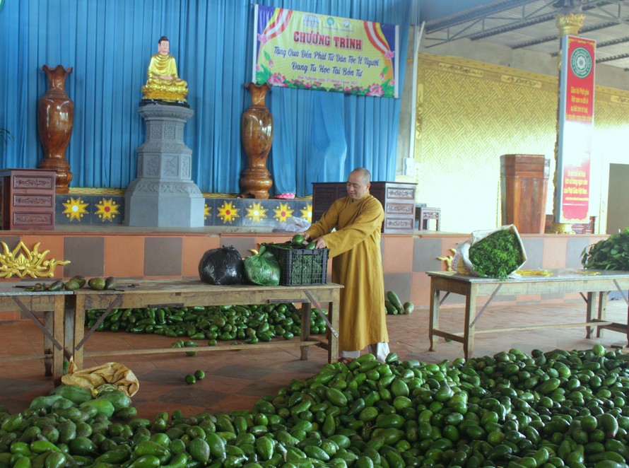 Giáo hội Phật giáo tỉnh Đắk Lắk ủng hộ gần 100 tấn nông sản cho vùng dịch 