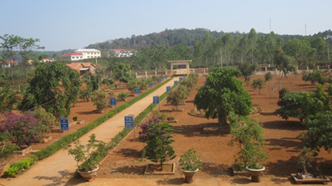 Sân trường Tiểu học Đăk Rong với hệ thống cây cảnh thẳng hàng trông rất đẹp. 