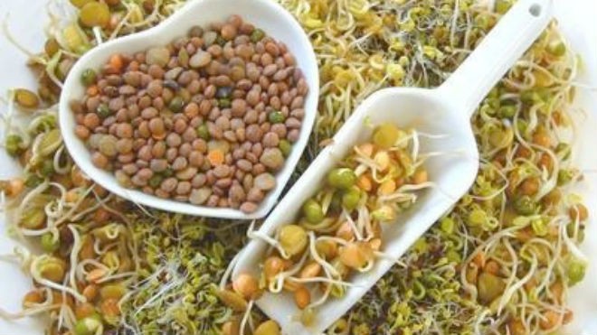 Lợi ích của rau mầm