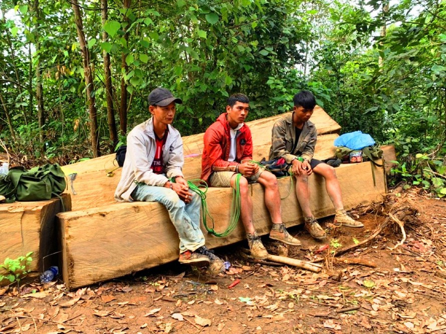 Nhóm đối tượng khai thác gỗ trái phép bị bắt tại chỗ