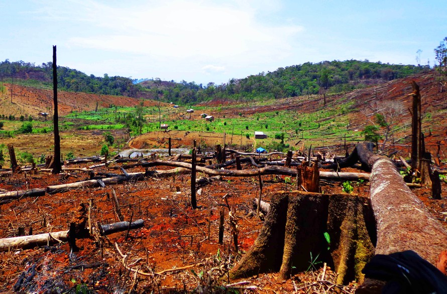 Phá rừng lập làng di cư tự do ở Đắk Nông