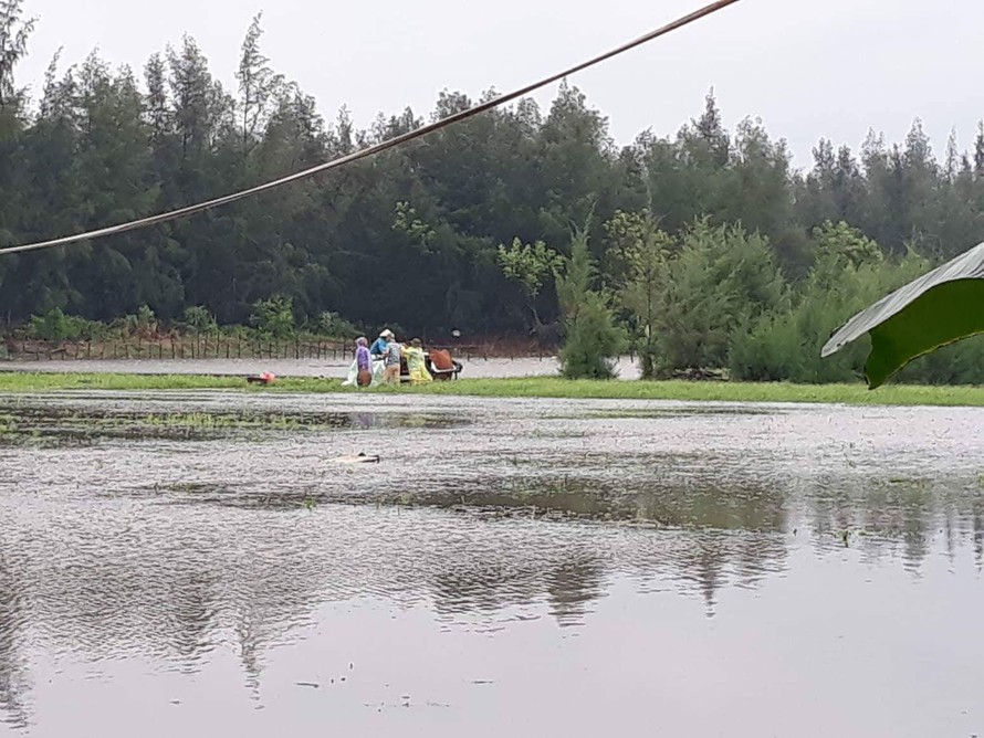 Mưa ngập lụt nhiều diện tích lúa, hoa màu, nhà ở tại huyện Tĩnh Gia