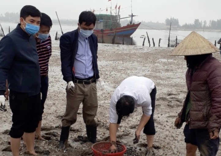 Xác định nguyên nhân ngao chết hàng loạt ở Thanh Hoá